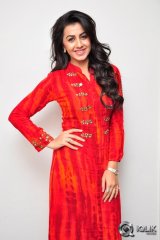 Nikki Galrani at Krishnashtami Movie Promotions